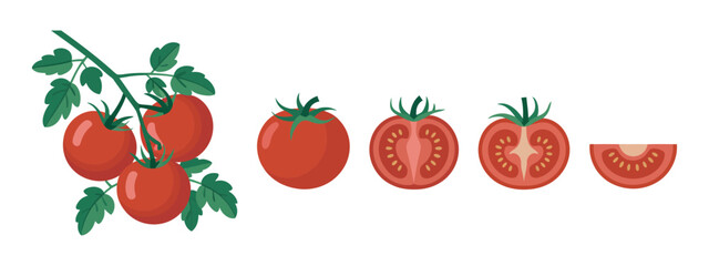 Tomato Illustration with Whole Halved and Sliced Tomatoes Including Tomatoes on the Vine with Green Leaves Isolated on a White Background