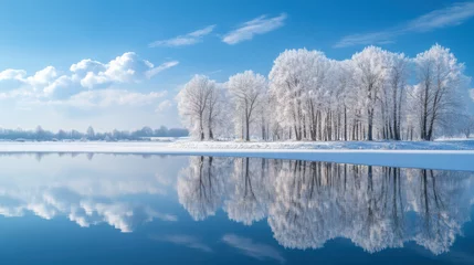 Printed kitchen splashbacks Frostcovered trees stand reflected in a tranquil winter lake under a bright blue sky