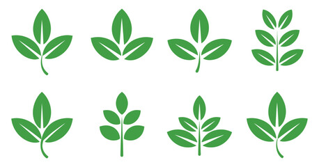 Set of Green Leaves Vector Icons Isolated on White Background Representing Nature Growth and Ecology for Graphic Design and Decoration Elements