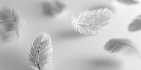 Obraz premium White Feathers Floating in Soft Focus, Representing Purity, Minimalism, and Dreamlike Serenity