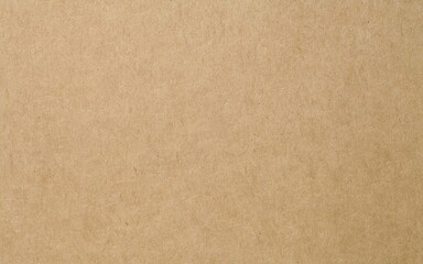 Light brown kraft paper texture banner background