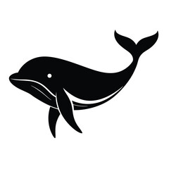 Dolphin Isolated on white background