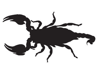 SCORPION SILHOUETTE