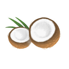 자른 코코넛 스케치