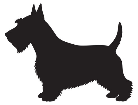 SCOTTISH TERRIER DOG SILHOUETTE