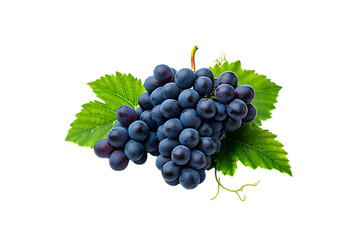 Juicy Red Grapes Fresh, Ripe, and Ready to Eat