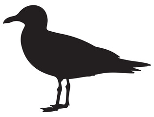SEA GULL SILHOUETTE