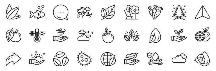 Christmas tree, Recycle water and Sunflower seed line icons pack. Share, Message, Paper plane icons. Water drop, Orange, Organic tested web icon. Sunny weather, Apple, Leaves pictogram. Vector