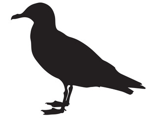 SEA GULL SILHOUETTE
