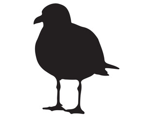 SEA GULL SILHOUETTE