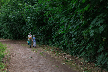 Fototapeta premium Two boys walk together along a forest path, holding hands and enjoying nature. Concept: brotherhood, trust, nature walk, peaceful childhood moments.