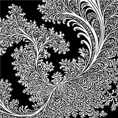 Fototapeta premium fractal background, black and white vector 
