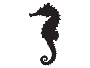 Fototapeta premium SEAHORSE SILHOUETTE