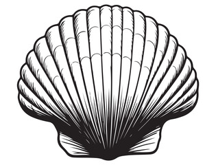 SEASHELL SILHOUETTE 