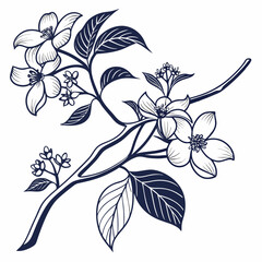 black and white creeping dogwoods