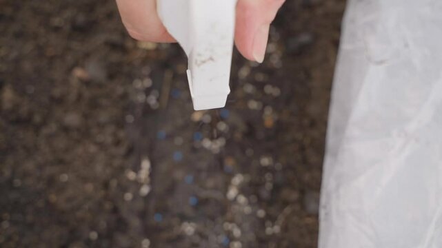 Spraying soil with seeds from a sprayer, close-up in slow motion 