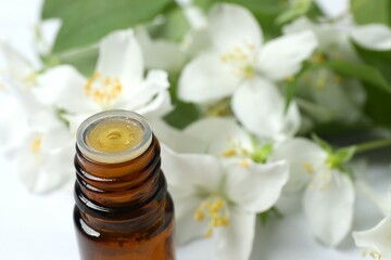 Jasmin essential oil with fresh jasmine flowers - beauty treatment