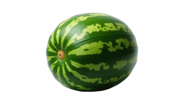 Whole watermelon with green striped rind on a plain background  