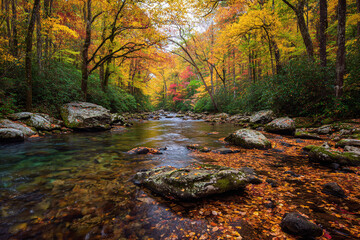 Autumn foliage reflecting on a river with rocks in a forest with yellow and green trees