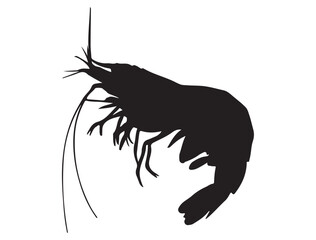 SHRIMP SILHOUETTE