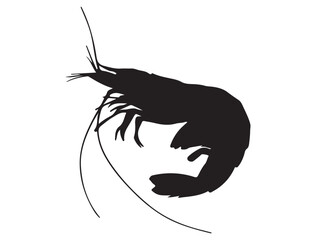 SHRIMP SILHOUETTE