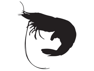 SHRIMP SILHOUETTE