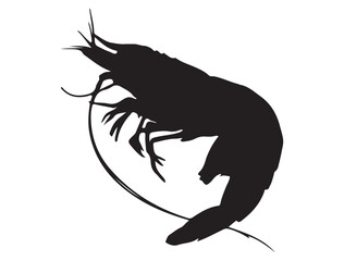 SHRIMP SILHOUETTE