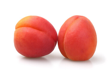 Two ripe apricots of beautiful yellow-red color isolated on white background.