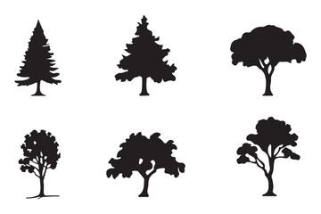 silhouette tree line drawing set, Side view, set of graphics trees elements outline symbol for architecture and landscape design drawing. Vector illustration in stroke fill in white. Tropical