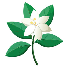 creative vector daisy pattern