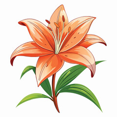 marigold white background