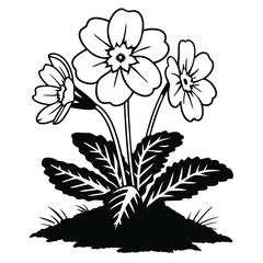 realistic saffron floral vector