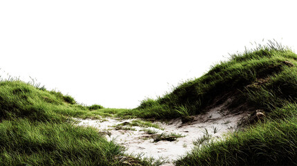 A path through grassy dunes under a dark sky creating a serene and natural landscape view outdoors on transparent background