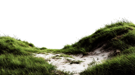 A path through grassy dunes under a dark sky creating a serene and natural landscape view outdoors on transparent background