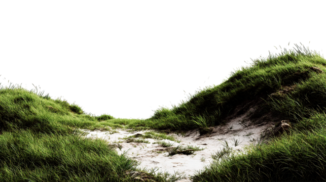 A path through grassy dunes under a dark sky creating a serene and natural landscape view outdoors on transparent background