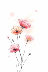 pink cosmos flower vector