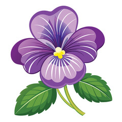 purple violet flower detailed drawing