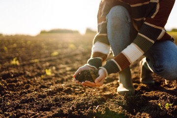 A young female agronomist holds fertile soil in a sunset field. A female farmer checks the quality...