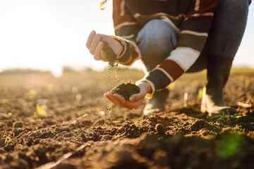 A young female agronomist holds fertile soil in a sunset field. A female farmer checks the quality...