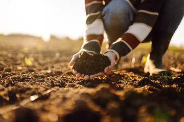 A young female agronomist holds fertile soil in a sunset field. A female farmer checks the quality...