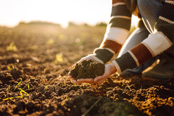 A young female agronomist holds fertile soil in a sunset field. A female farmer checks the quality of the soil before sowing. Concept of agriculture, gardening and farming.