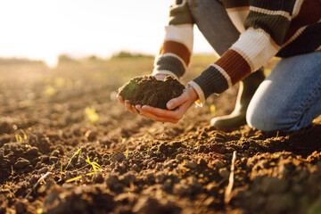 A young female agronomist holds fertile soil in a sunset field. A female farmer checks the quality...