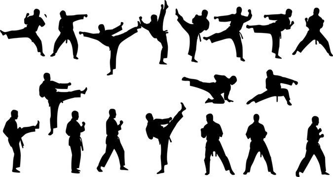 Martial artists display stances and kicks in dynamic black silhouettes against a white background.