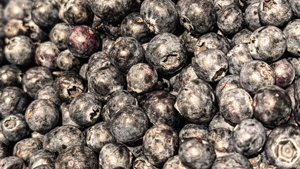 fresh organic blueberries background horizontal