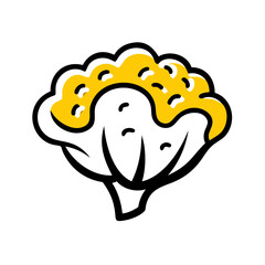 Hand Draw cauliflower icon on transparent background for web and graphic design