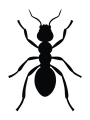 an ant silhouette black vector artwork illustration