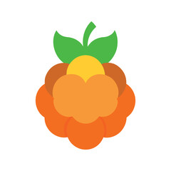 Cloudberry yellow soft berry from northern region flat style color vector illustration