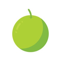 Desert lime native citrus fruit in flat round style vector color vector illustration