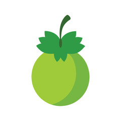 Gooseberry round tart berry fruit with stem in flat vector style color vector illustration