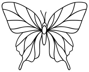 Butterfly Line Art | Abstract Butterfly | Vector Butterfly Wings
